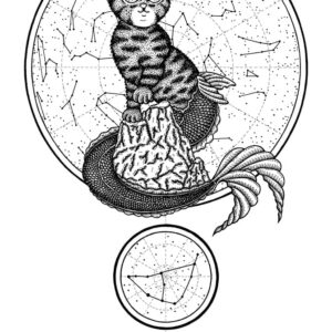 Steenbok Sterrenbeeld Capricorn Astrologie kat Inkt
