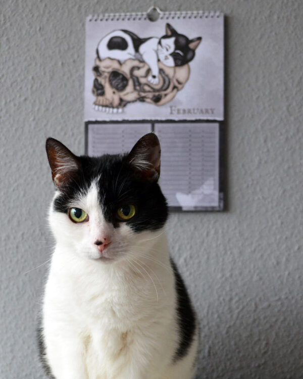 Kat Verjaardagskalender Memento Mori Kawaii Kattenkalender Gothic Kalender Verjaardag Doden Kalender Creepy Cute Birthday Calendar Cats Katten en Poezen Illustraties Schattig Eng Poes Uniek Nederlands Design