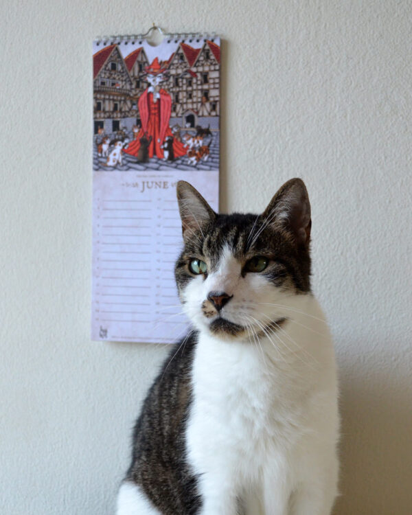 Sprookjes Kalender Gebroeders Grimm Kat Verjaardagskalender Grimm's Cat Tales Calendar Katten en Poezen Illustraties Fantasy Decoratie Housewarming Cadeau Sprookje Doornroosje en Roodkapje als Poes Uniek Nederlands Design