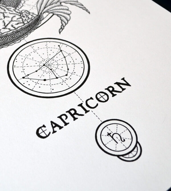 Zodiac Sign Capricorn Drawing Original Art Capricorn Star Sign Tabby Cat Cat Home Decor Astrology Horoscop Feline Illustration