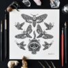 Deadly Moth Lover Original Art Death’s Head Hawkmoth Black Cat Death Gothic Home Decor Feline Illustration Creepy Cute Animal Drawing