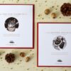 Katten en Winterdieren Kerstkaarten Set Set met 8 Kaarten - Vos Kat Eekhoorn Yule Wenskaarten Sprookjes De Gebroeders Grimm Vrouw Holle De Sterrendaalders Winterkaarten Poezen Kerstmis